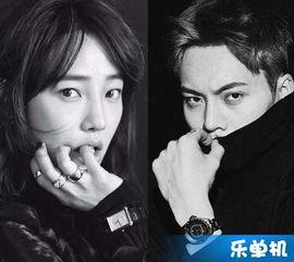 娱乐吃瓜电影片段,揭秘娱乐吃瓜片段背后的电影故事